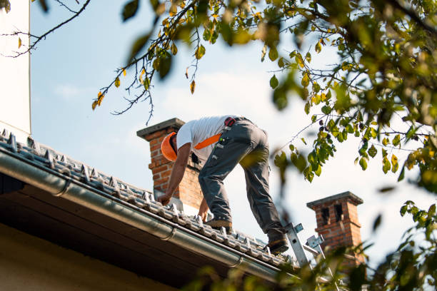 Best Roof Leak Repair  in Whitley City, KY