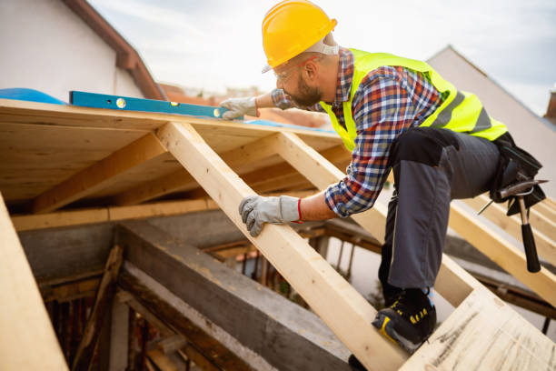 Best New Roof Installation  in Whitley City, KY