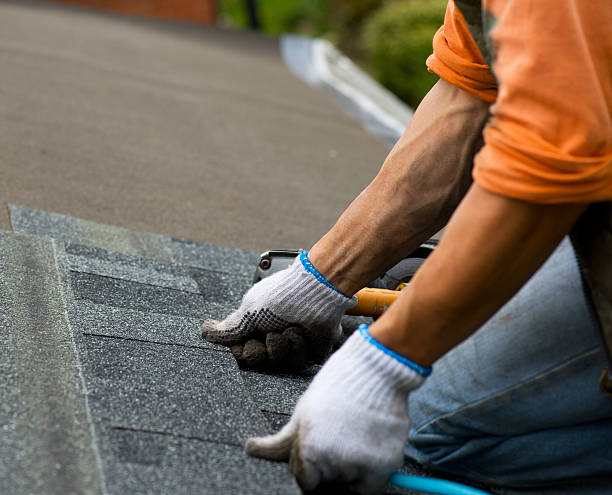 Best New Roof Installation  in Whitley City, KY