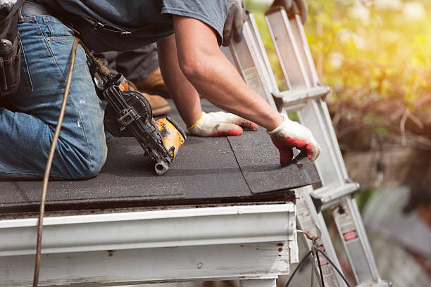 Best Storm Damage Roof Repair  in Whitley City, KY