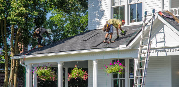Best Residential Roof Replacement  in Whitley City, KY