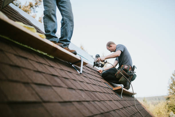 Best Best Roofing Contractors  in Whitley City, KY